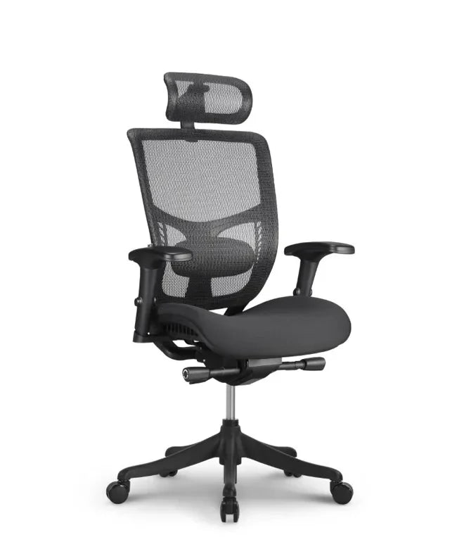 Ergonomska uredska stolica Ergovision Erg PRO