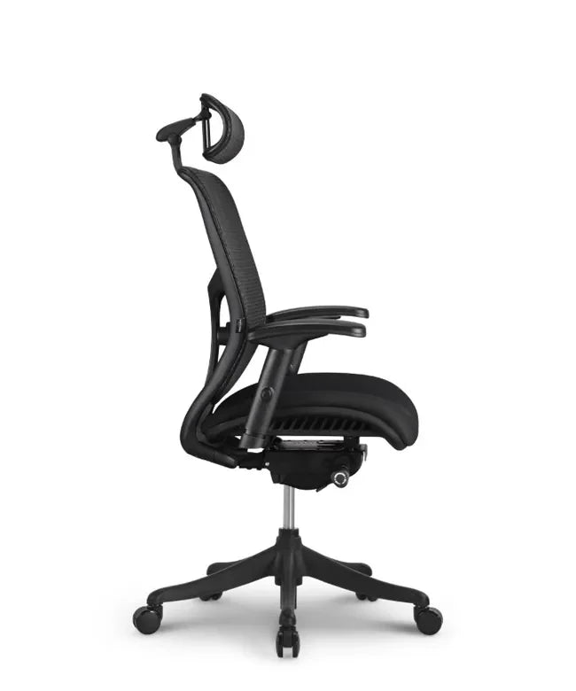 Ergonomska uredska stolica Ergovision Erg PRO