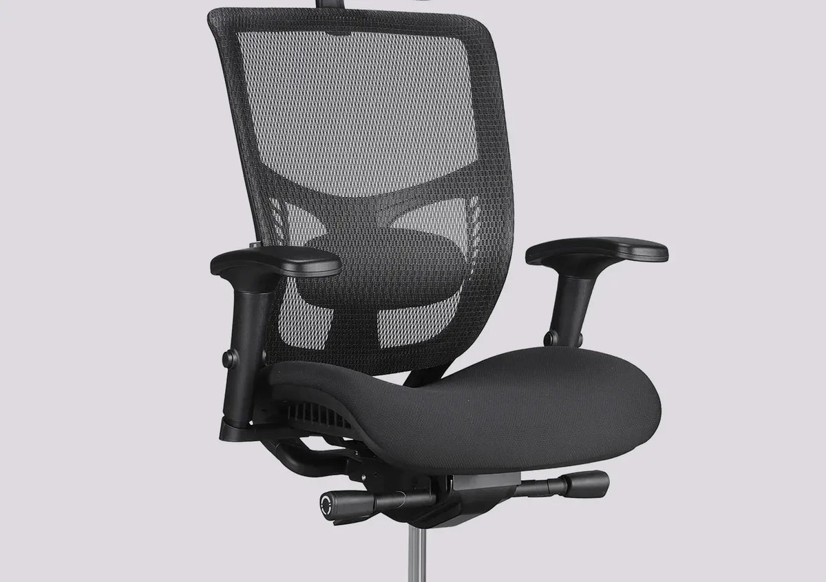 Ergonomska uredska stolica Ergovision Erg PRO