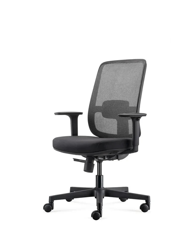 Ergonomska uredska stolica Ergovision Ergo Basic W