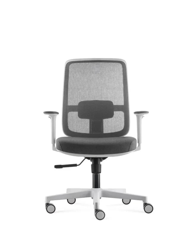 Ergonomska uredska stolica Ergovision Ergo Basic W
