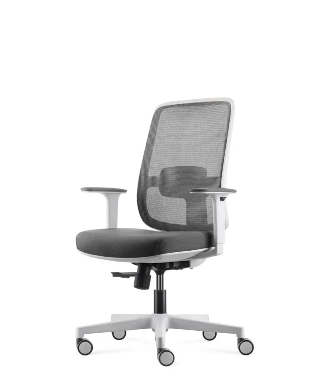Ergonomska uredska stolica Ergovision Ergo Basic W
