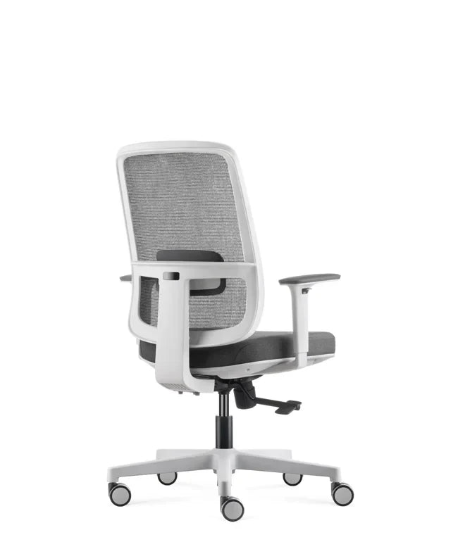 Ergonomska uredska stolica Ergovision Ergo Basic W