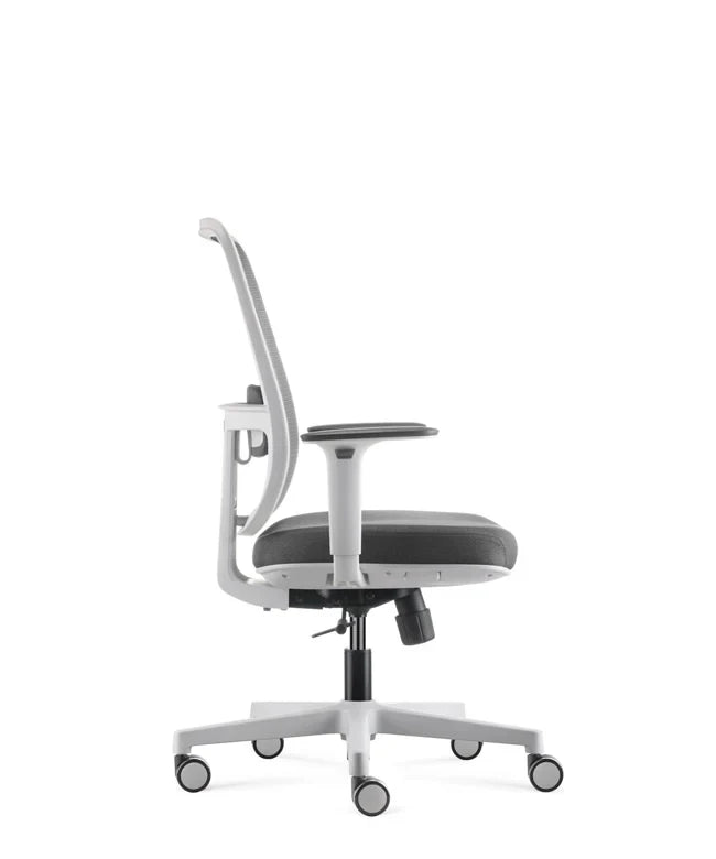 Ergonomska uredska stolica Ergovision Ergo Basic W