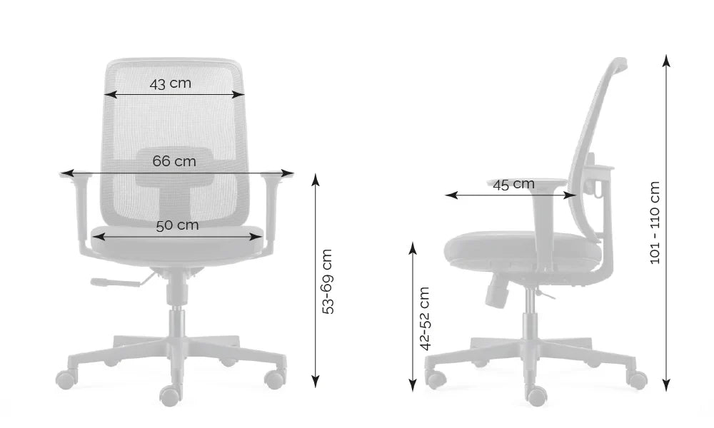 Ergonomska uredska stolica Ergovision Ergo Basic W