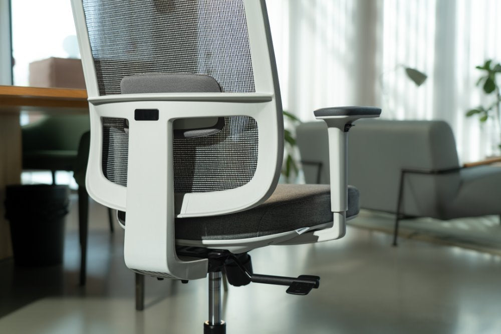 Ergonomska uredska stolica Ergovision Ergo Basic W
