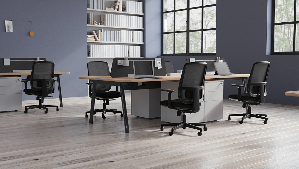 Ergonomska uredska stolica Ergovision Ergo Basic W