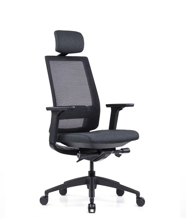 Ergonomska uredska stolica Ergovision Expert