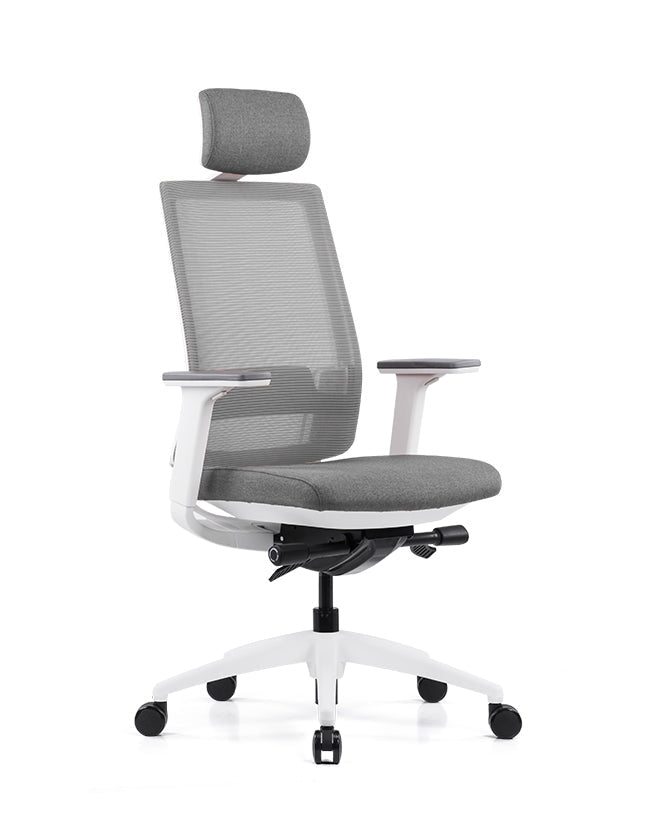 Ergonomska uredska stolica Ergovision Expert