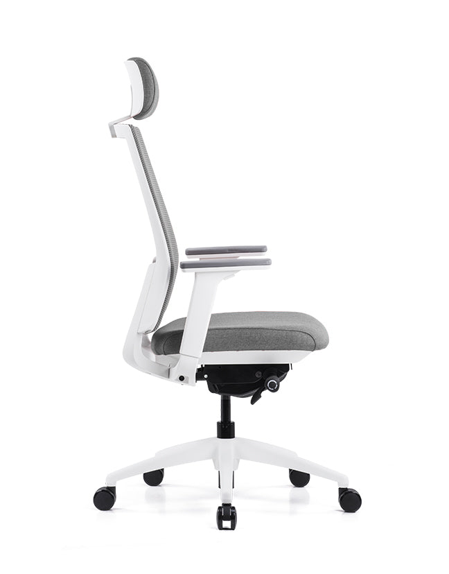Ergonomska uredska stolica Ergovision Expert