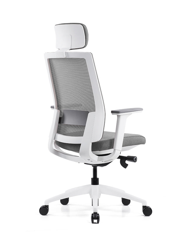Ergonomska uredska stolica Ergovision Expert