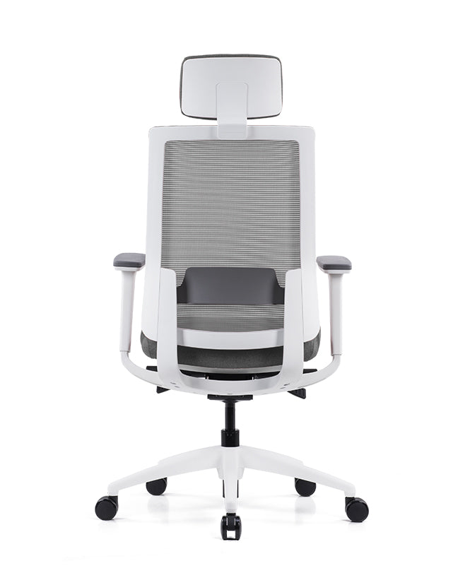 Ergonomska uredska stolica Ergovision Expert