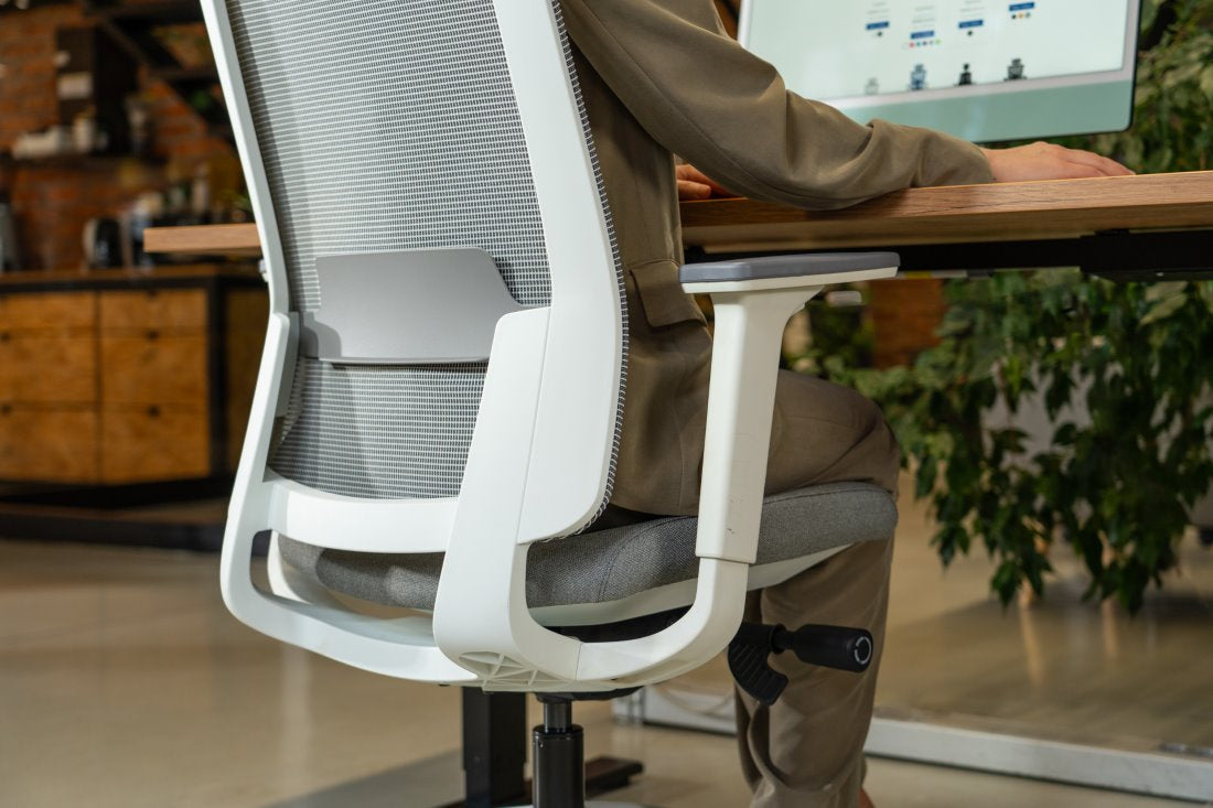 Ergonomska uredska stolica Ergovision Expert