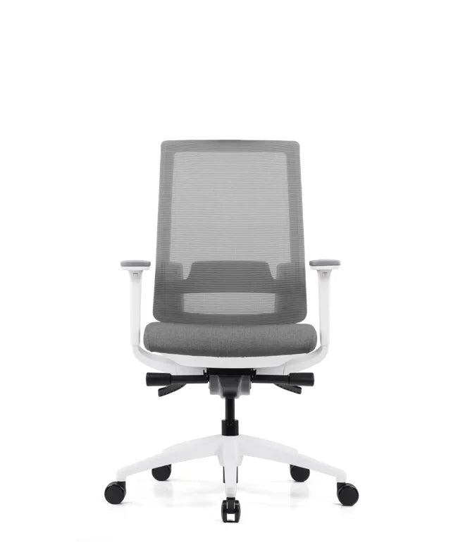 Ergonomska uredska stolica Ergovision Expert W
