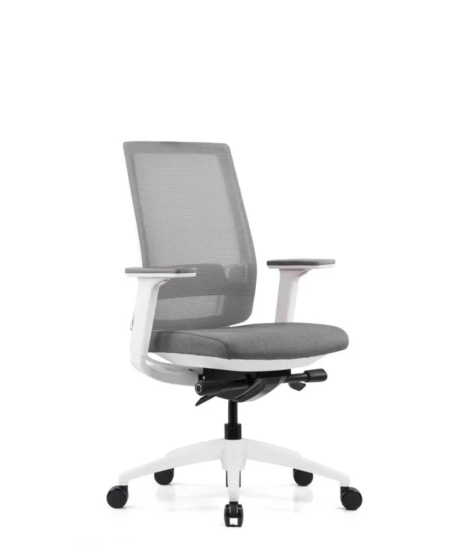 Ergonomska uredska stolica Ergovision Expert W