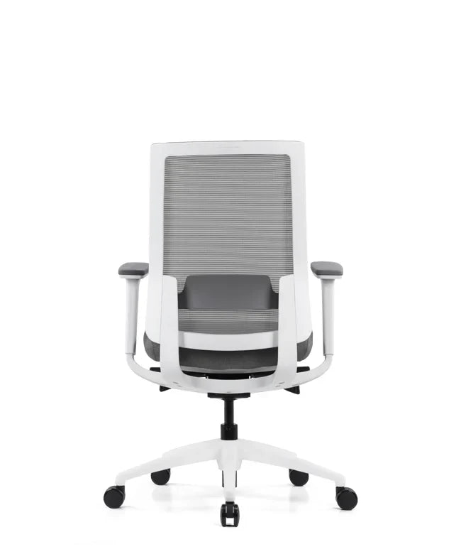 Ergonomska uredska stolica Ergovision Expert W