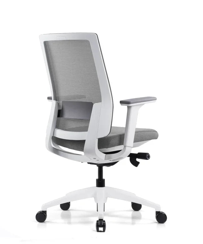 Ergonomska uredska stolica Ergovision Expert W