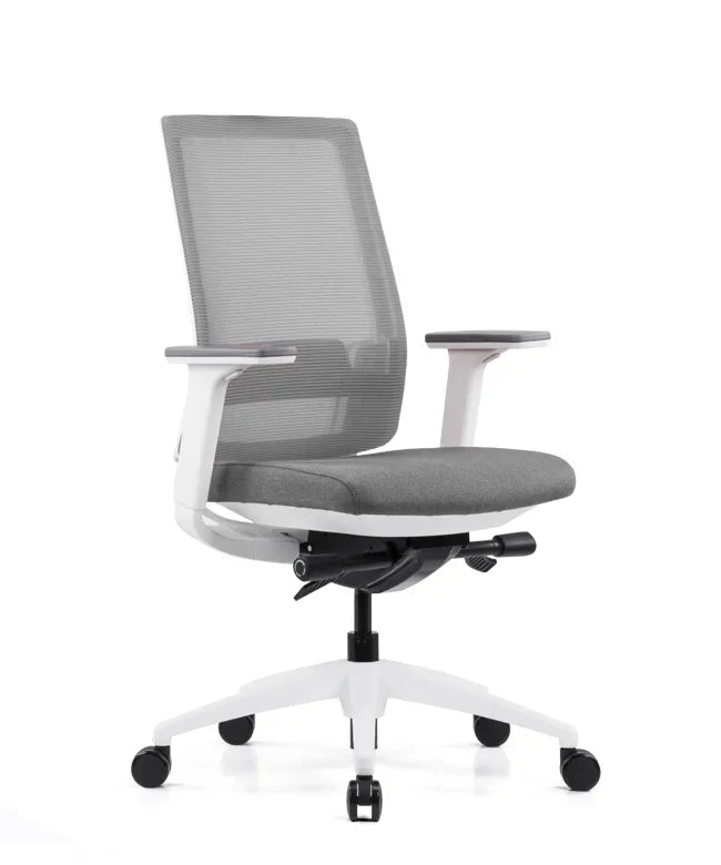Ergonomska uredska stolica Ergovision Expert W