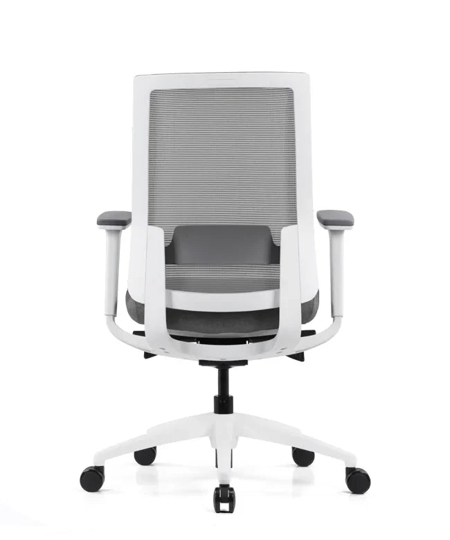 Ergonomska uredska stolica Ergovision Expert W