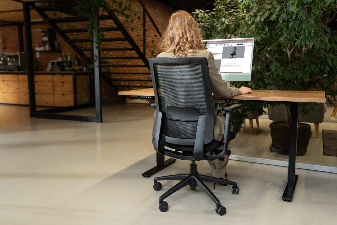 Ergonomska uredska stolica Ergovision Expert W