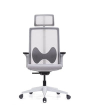 Ergonomska uredska stolica Ergovision Magnus