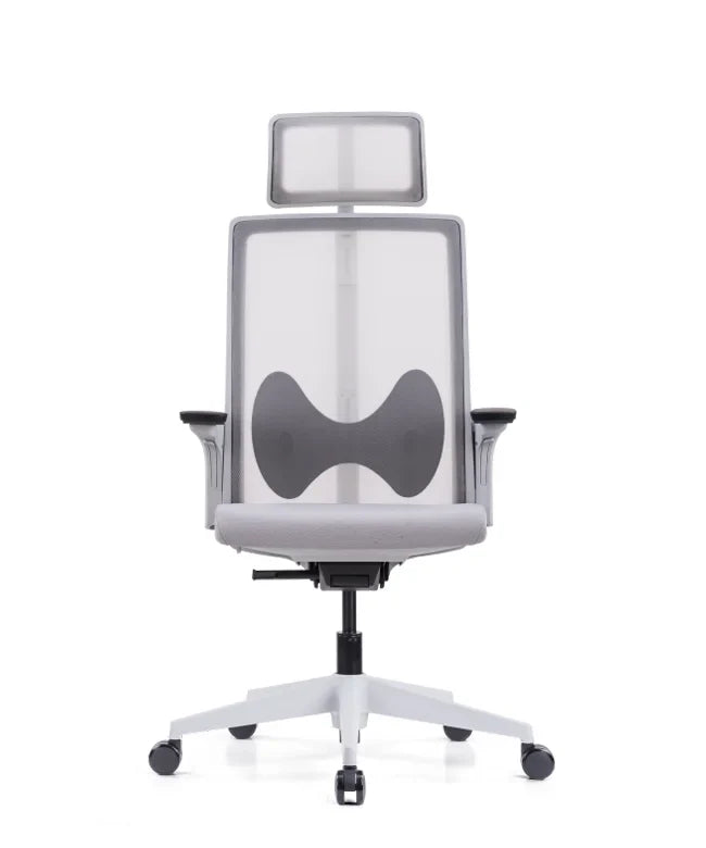 Ergonomska uredska stolica Ergovision Magnus