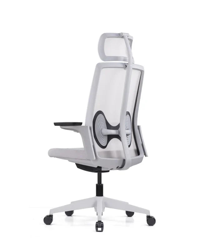 Ergonomska uredska stolica Ergovision Magnus