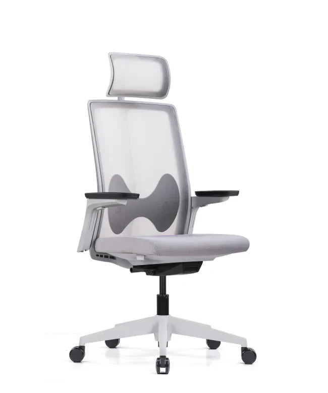Ergonomska uredska stolica Ergovision Magnus