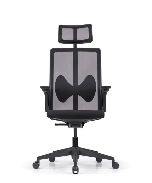 Ergonomska uredska stolica Ergovision Magnus