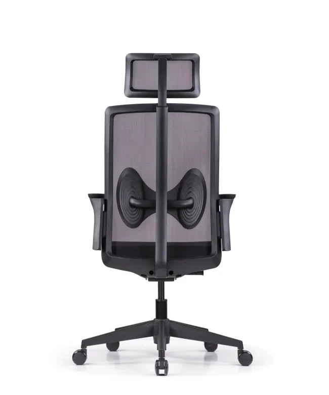Ergonomska uredska stolica Ergovision Magnus