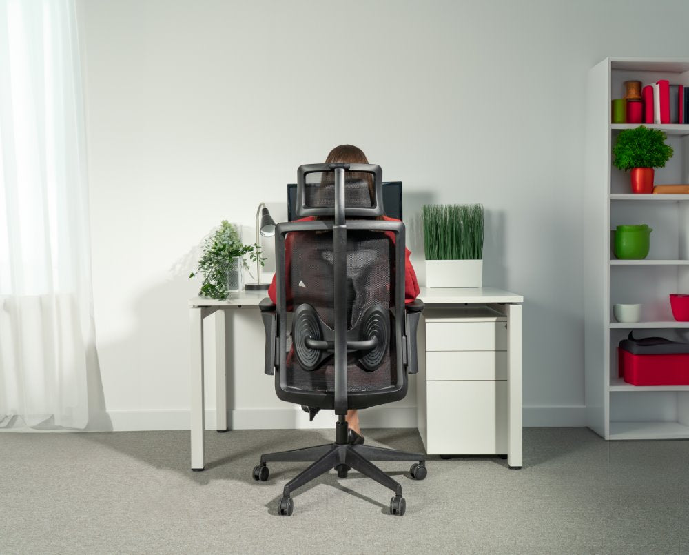 Ergonomska uredska stolica Ergovision Magnus