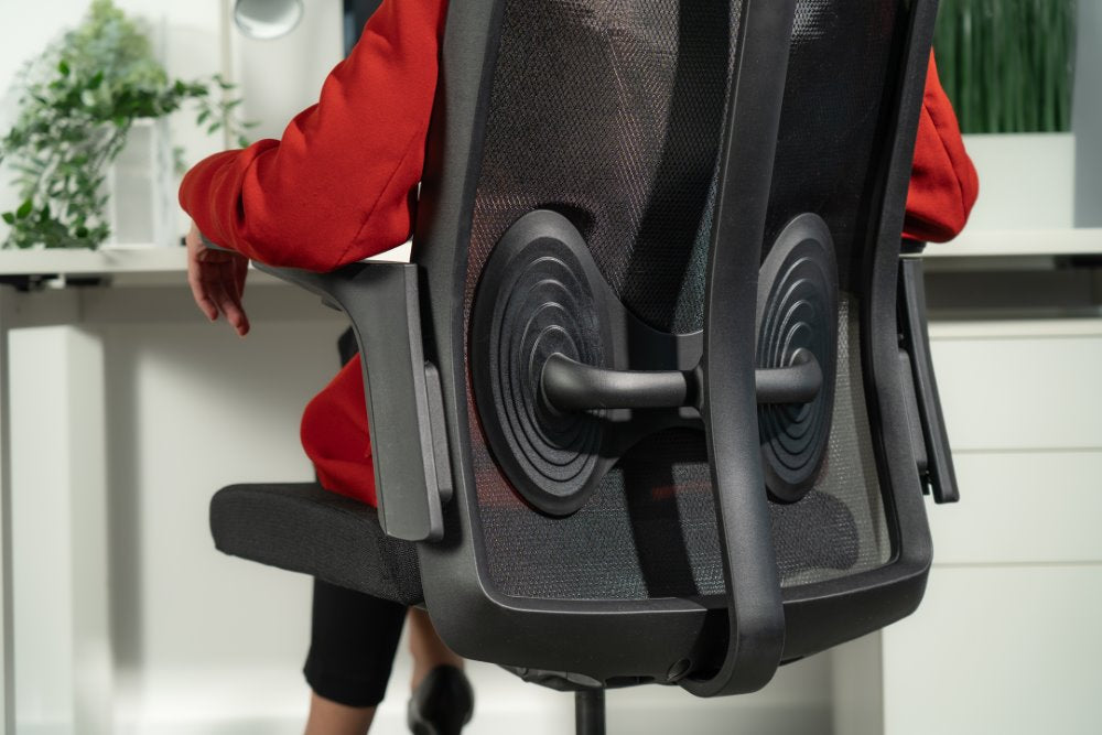 Ergonomska uredska stolica Ergovision Magnus