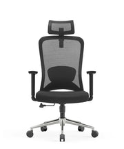 Ergonomska uredska stolica Ergovision Nexus