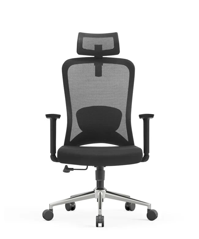 Ergonomska uredska stolica Ergovision Nexus