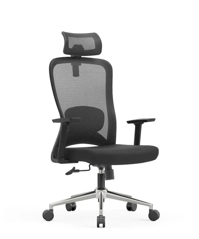 Ergonomska uredska stolica Ergovision Nexus