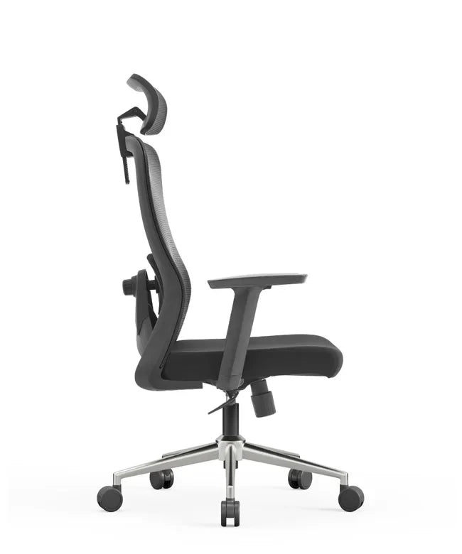 Ergonomska uredska stolica Ergovision Nexus