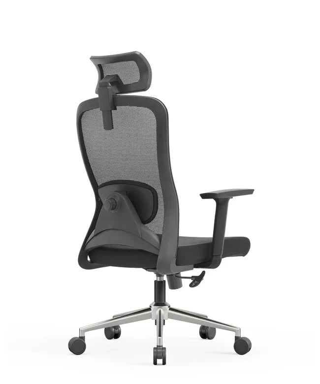 Ergonomska uredska stolica Ergovision Nexus