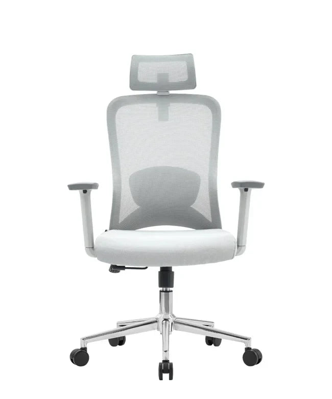Ergonomska uredska stolica Ergovision Nexus
