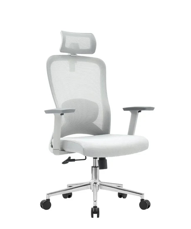 Ergonomska uredska stolica Ergovision Nexus