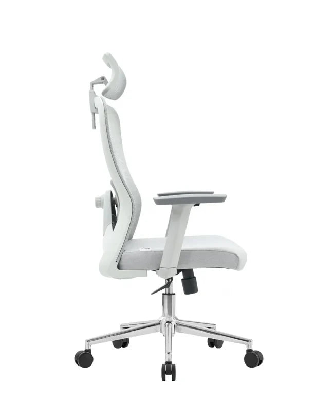 Ergonomska uredska stolica Ergovision Nexus