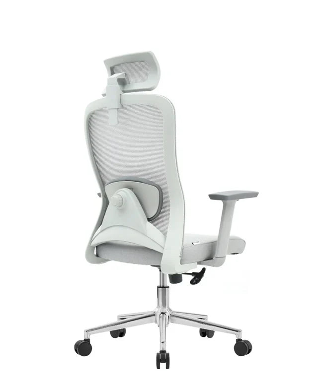 Ergonomska uredska stolica Ergovision Nexus