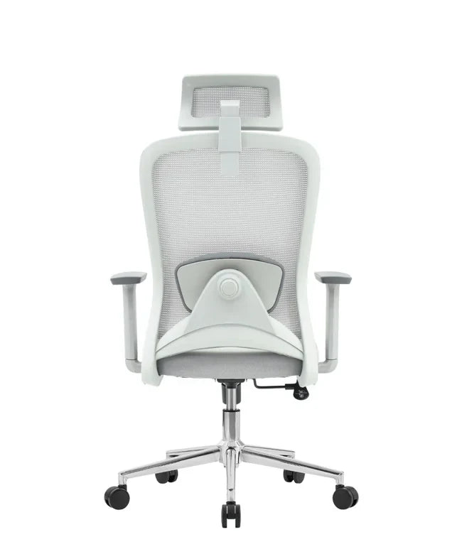 Ergonomska uredska stolica Ergovision Nexus
