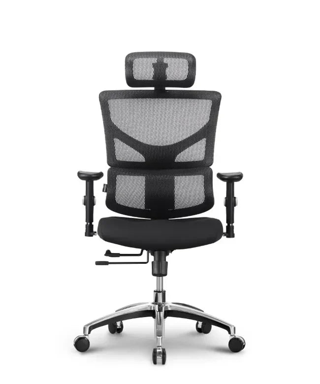 Ergonomska uredska stolica Ergovision Smart Basic