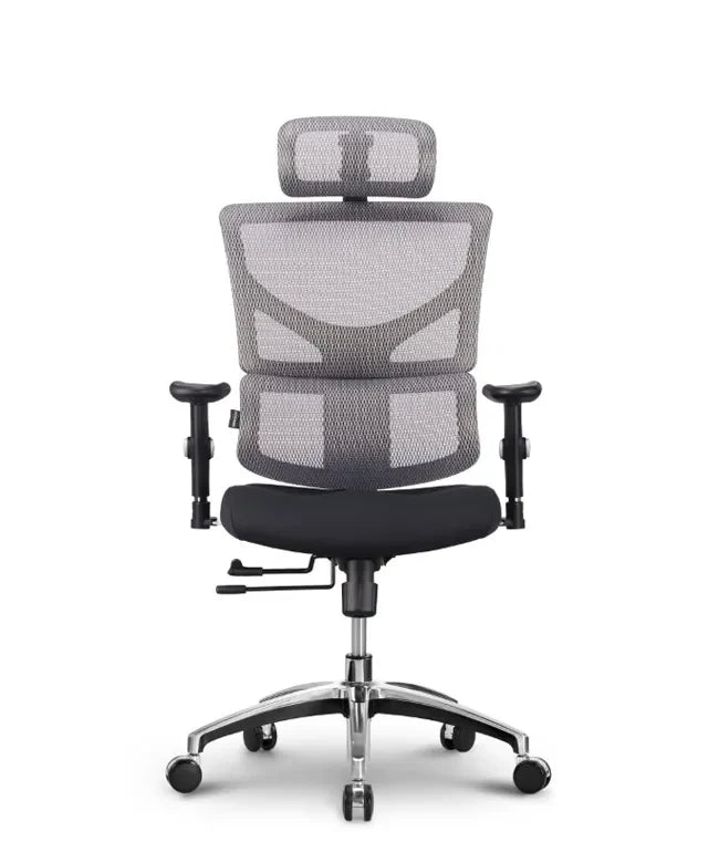 Ergonomska uredska stolica Ergovision Smart Basic
