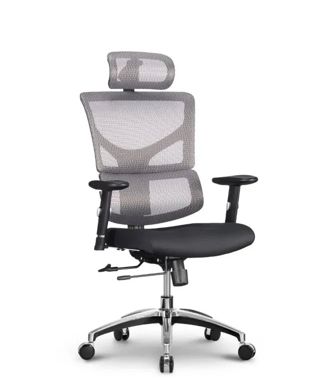 Ergonomska uredska stolica Ergovision Smart Basic