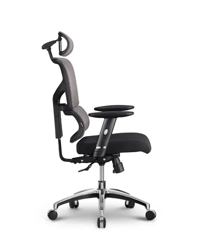 Ergonomska uredska stolica Ergovision Smart Basic