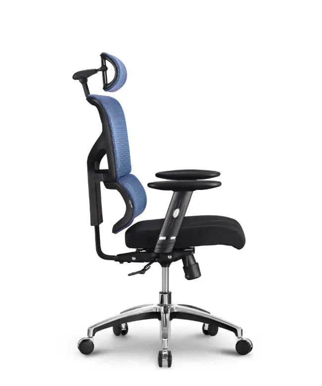 Ergonomska uredska stolica Ergovision Smart Basic