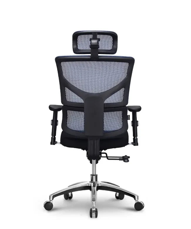 Ergonomska uredska stolica Ergovision Smart Basic