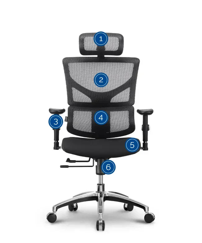 Ergonomska uredska stolica Ergovision Smart Basic