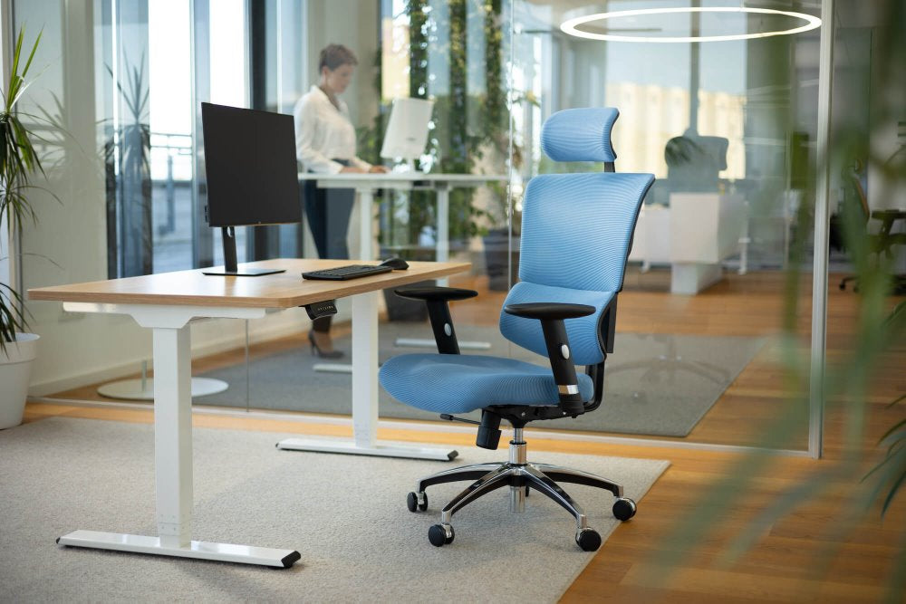 Ergonomska uredska stolica Ergovision Smart Basic